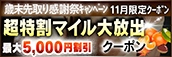 【11月限定】超特割★マイル大放出クーポン