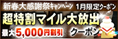 【１月限定】超特割★マイル大放出クーポン